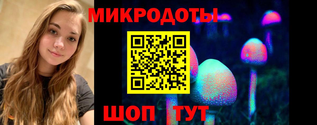 Химки  Галлюциногенные грибы Psilocybine cubensis  Вход с VPN  Галлюциногенные грибы мицелий 